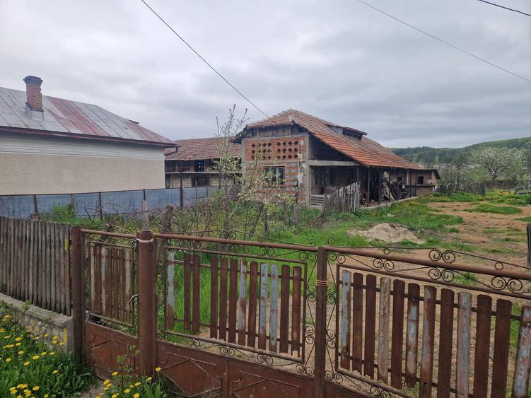 Proprietar Casa Valea Ursului 782 m2 str.principala - 5