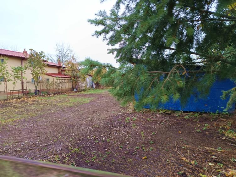 Ocazie Vand Teren Intravilan 1000 mp in Fundulea Crang drum asfaltat - 6