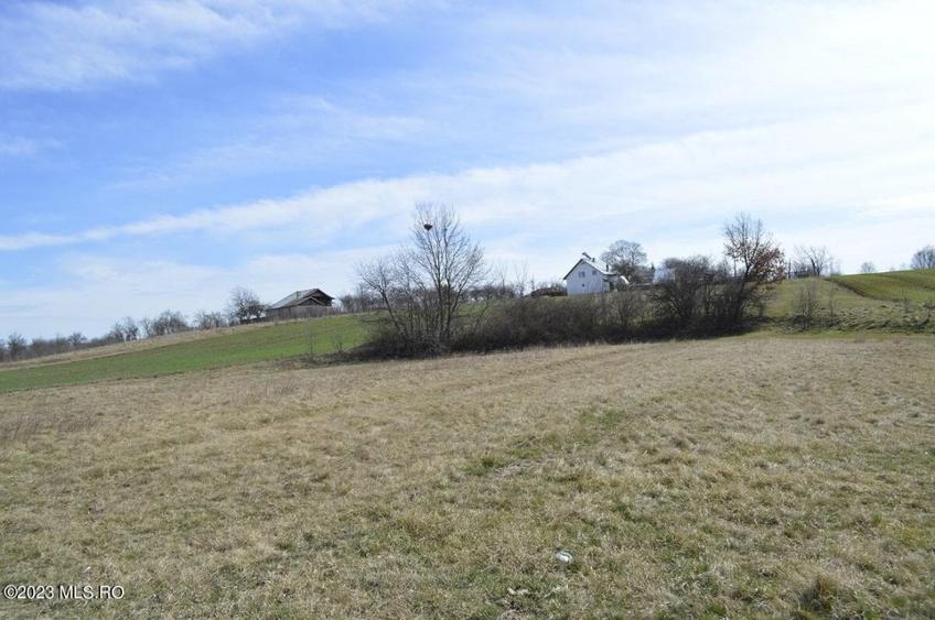 Suseni - Teren intravilan rezidential, suprafata 4000 mp! - 6