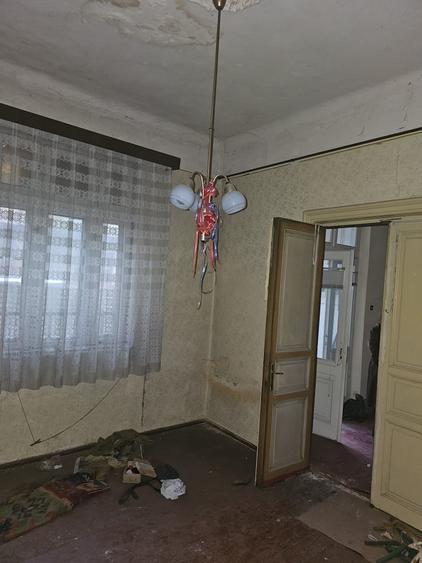 Hala Traian- singur curte- renovabila/demolabila - 4