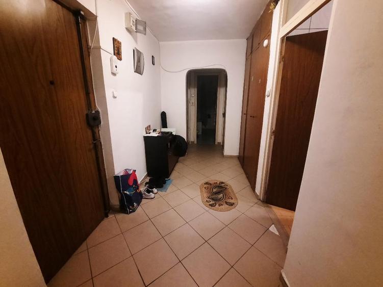 VANZARE 2 CAM 13 SEPTAMBRIE- NEDELEANU ION - 7