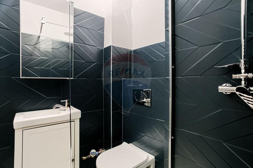 Apartament 3 camere, zona Traian-Boul Rosu - 15