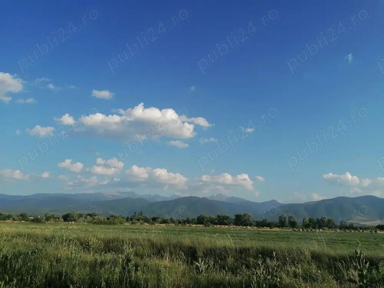 Casa cu teren de vanzare - sat PE?TEANA - 3