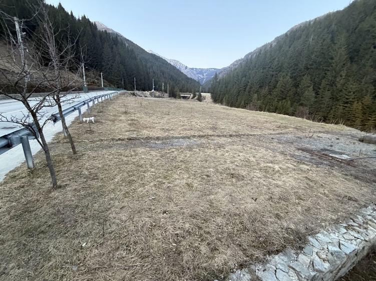 Teren de vanzare - 3