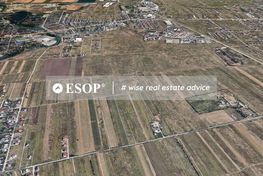 Teren Industrial, 18.000mp, Magurele, Str. Bucuresti-ID 15464 - 3