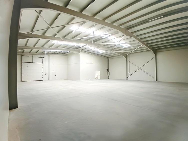 Hale noi, suprafata de 600 mp, in Chitila, Centura. - 2