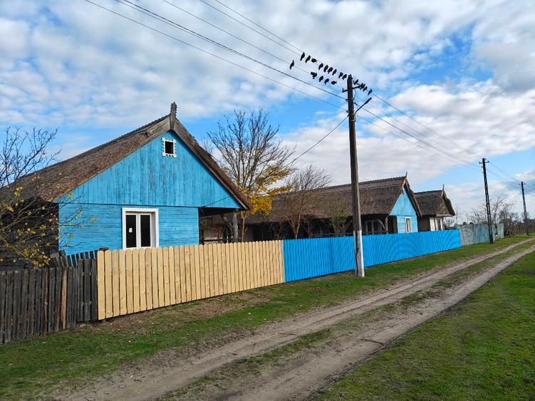 Vand 1800mp teren Letea 24 Rate Delta Dunarii - 4