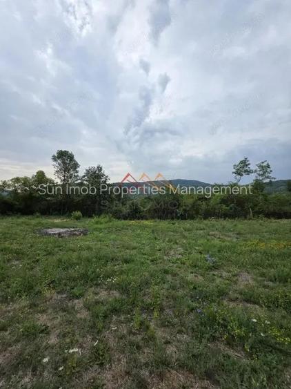 Teren Intravilan, utilitati in zona, 2600 mp, Draganeasa, Prahova