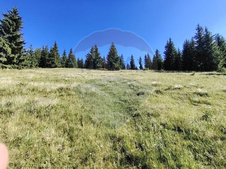 Teren 47,732mp Panaci / Strada MIhailet - 10