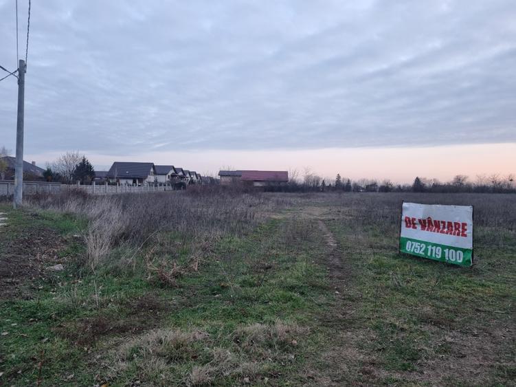 Teren de vanzare in Loc Domnesti - Tudor Vladimirescu - 1