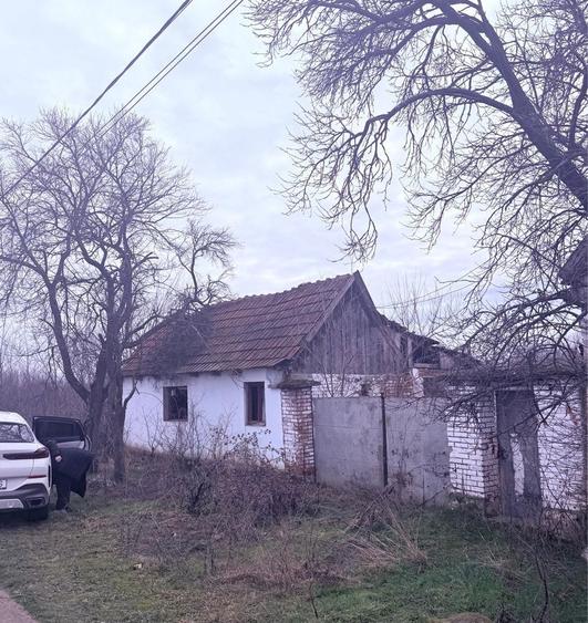 Casa de vanzare in sat Rapsig jud Arad cu 1400 m2 pamant - 5