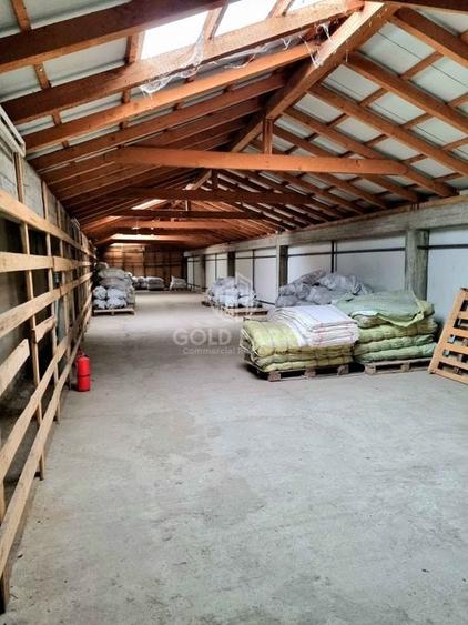 Complex Industrial - Zona Autostrazii A3 - PRELUARE CHIRIASI - 23