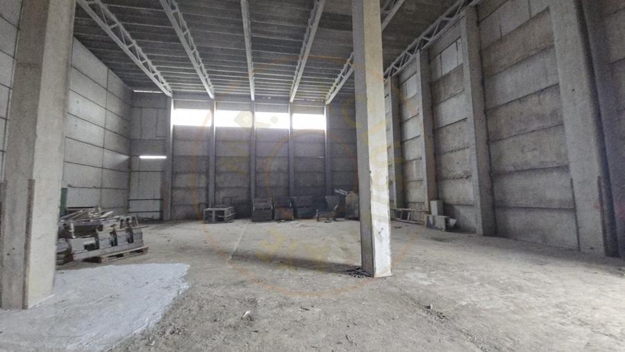 De Vanzare Hala/Depozit - 5