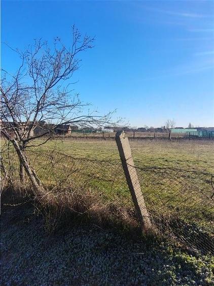 RECO Teren  intravilan in Cefa - 5