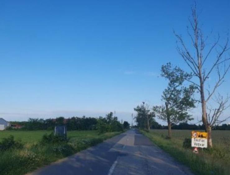 Cota de 1/2 teren intravilan, localitatea Tormac, jud. Ti... - 3