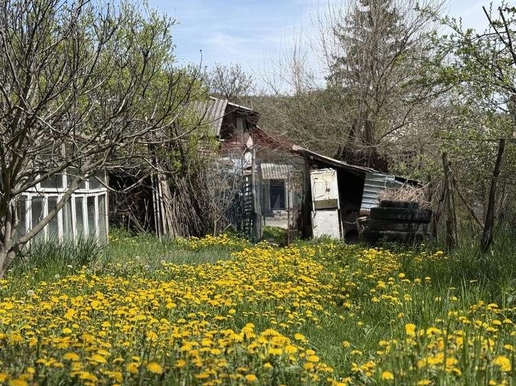 Casă  de vânzare în zona Câmpulung înconjurată de natura - 5