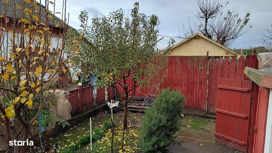 Casa cu 2 corpuri si teren de 1500 mp in sat Basarabi, Dolj - 5