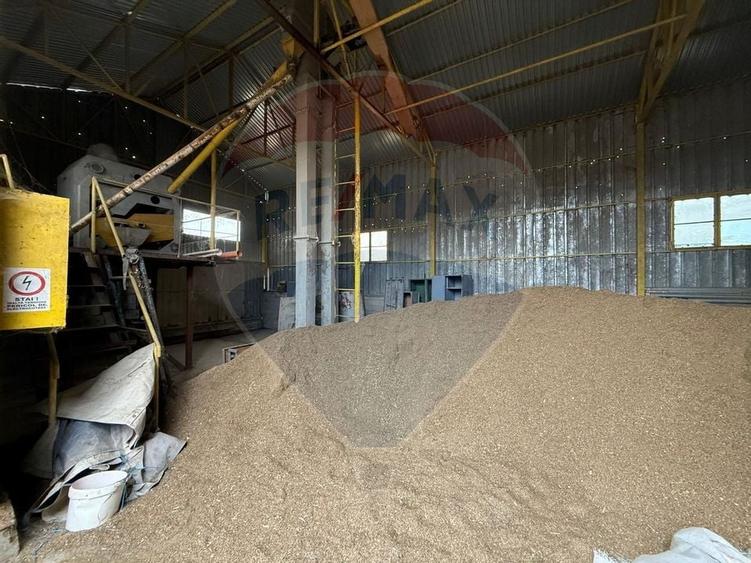 Moara Spatiu Industrial - 37