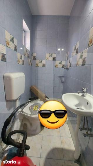 Casa autentica 3.100 mp teren, livada si parau I Lisnau - 9