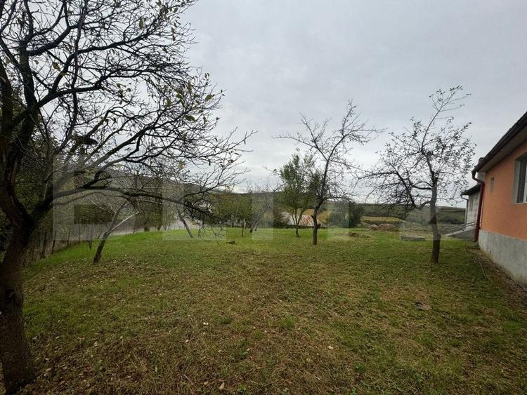 Casă individuală cu 5 camere cu Teren 3300 Mp în Sud