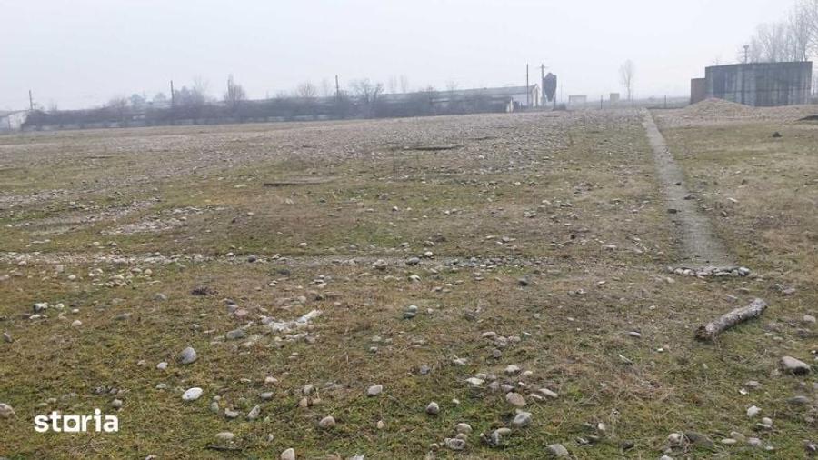 Teren de 15000 mp, în Tinca