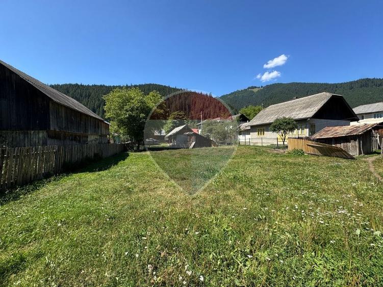 Teren Construcții intravilan de 5417 mp, în Borca