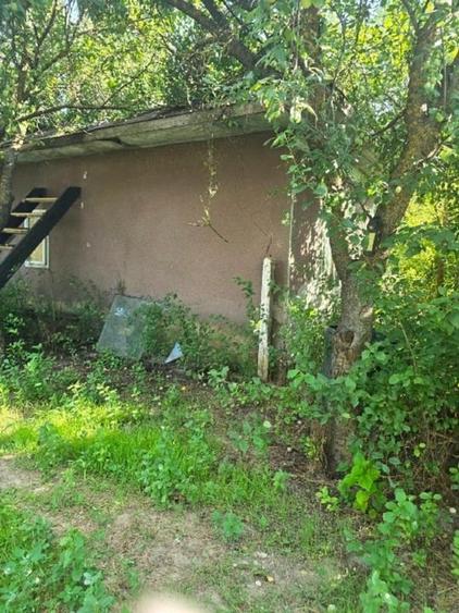 Teren Construcții intravilan de 3300 mp, în Bogata