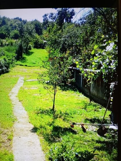 Casa in Filipesti la 4 km de Onesti - 1