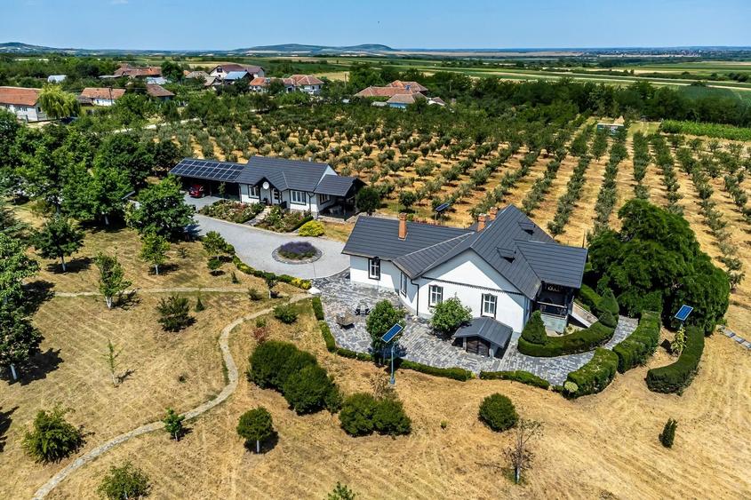 REZERVAT Visezi la o proprietate unică, plină de istorie și farmec? - 12