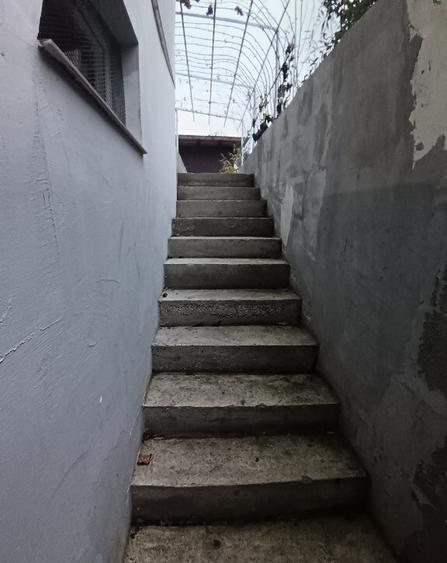 Casa in Mitocul Dragomirnei - 8