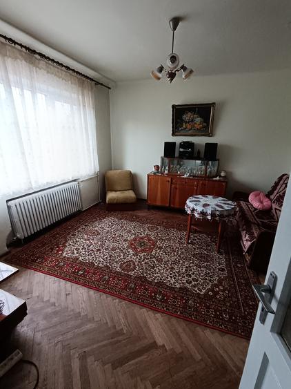 Vila deosebita in zona Cantacuzino - 12