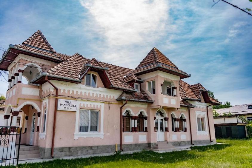 Vanzare Vila Panseluta - Pensiune/Vila turistica deosebita Pucioasa - 3