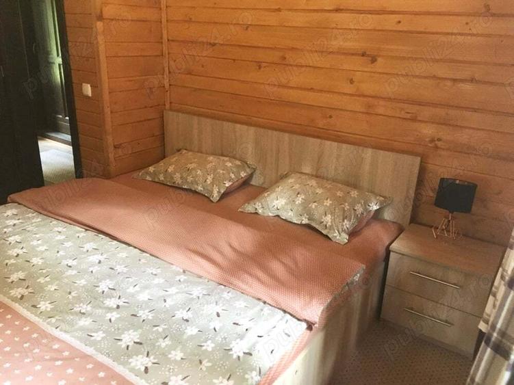 Casa din grinzi pe marginea paraului Borzont - 2