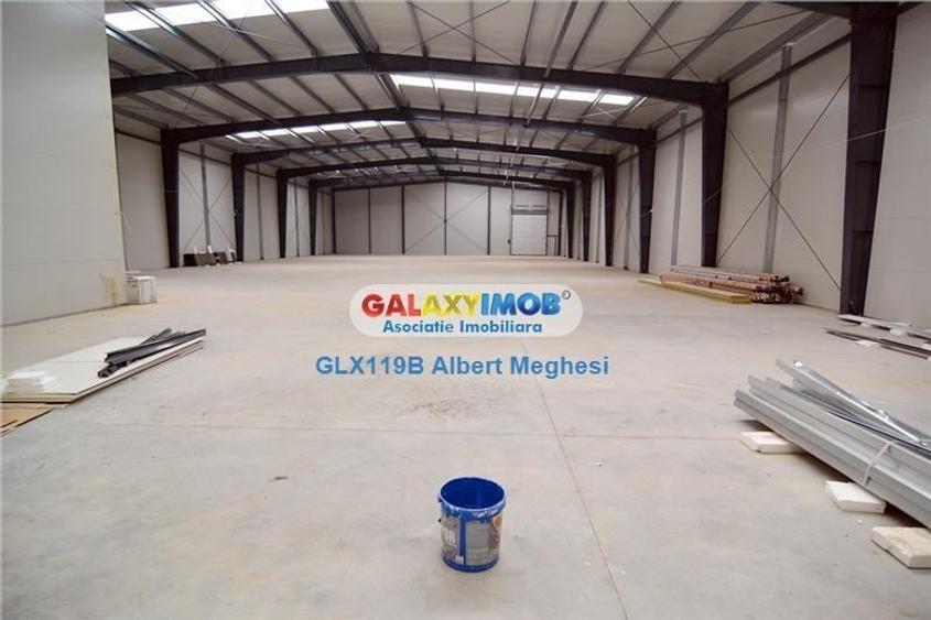 Vanzare Spatiu Depozitare/Hala Centura-Mogosoaia - 4