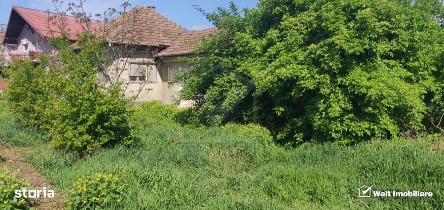 Casa individuala | Gradina | Apahida - 2