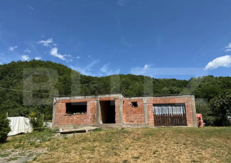 Casa cu 2 camere 53 mp in Lesnic, COMISION 0 PENTRU CUMPARAT - 1