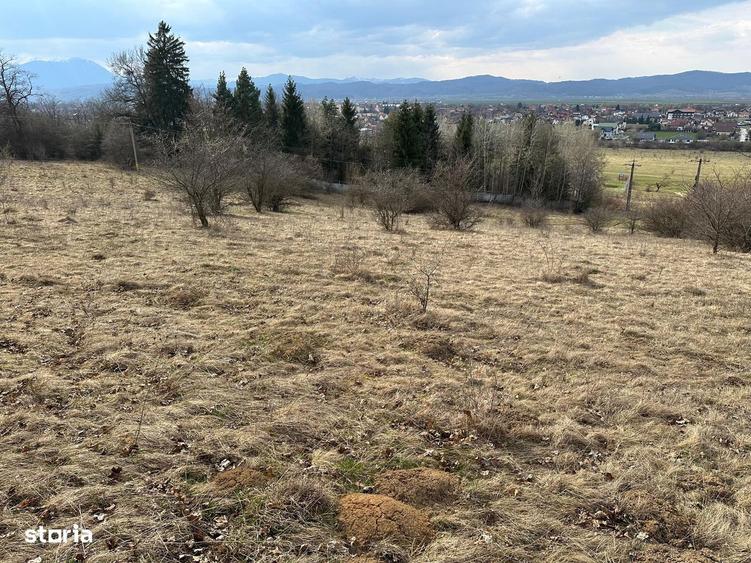 Teren extravilan pa?une 6.000 mp Cristian, Bra?ov - 2