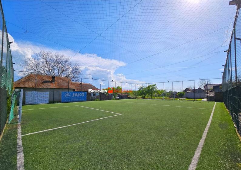 PROPRIETATE CU AFACERE FUNCTIONALA DE - PETREU, LANGA MARGH - 5