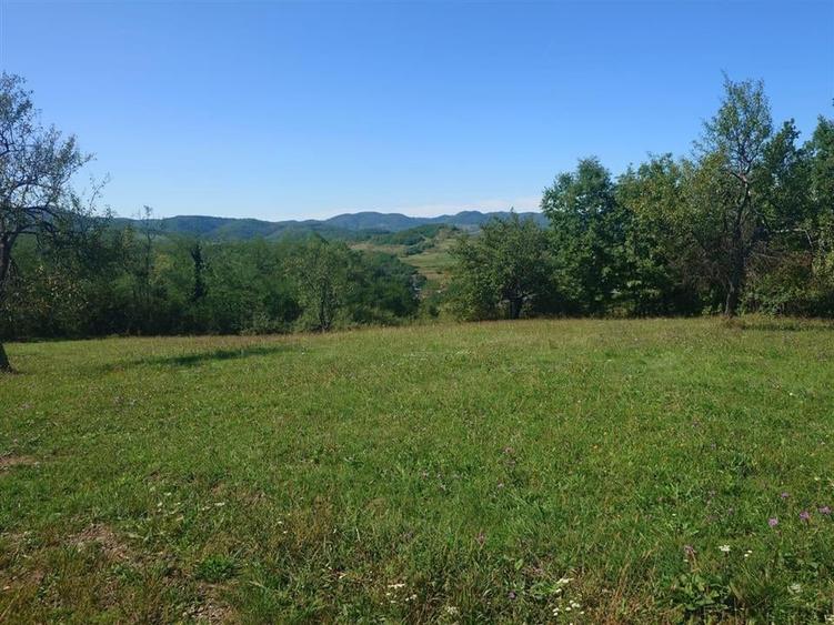 Teren intravilan 8757 mp cu potential turistic si acces direct la E79 - 12