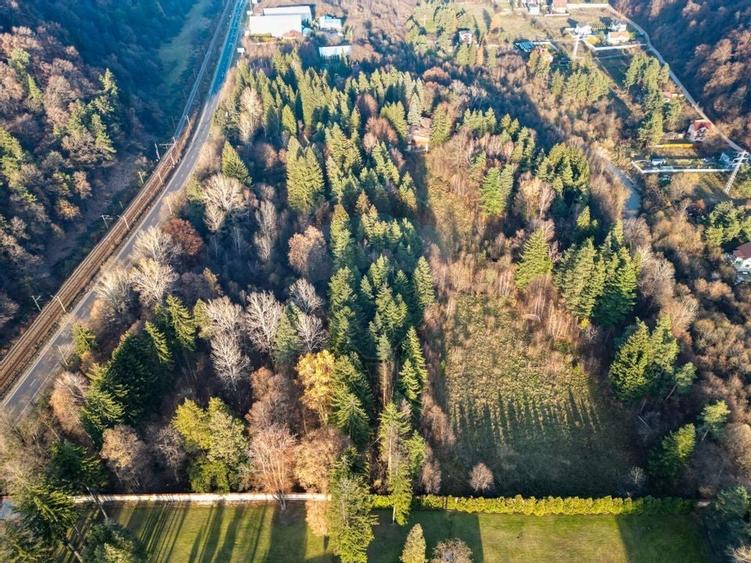 Teren constructii 10,000mp Timisul de Jos , PARCELABIL min 250 mp - 6