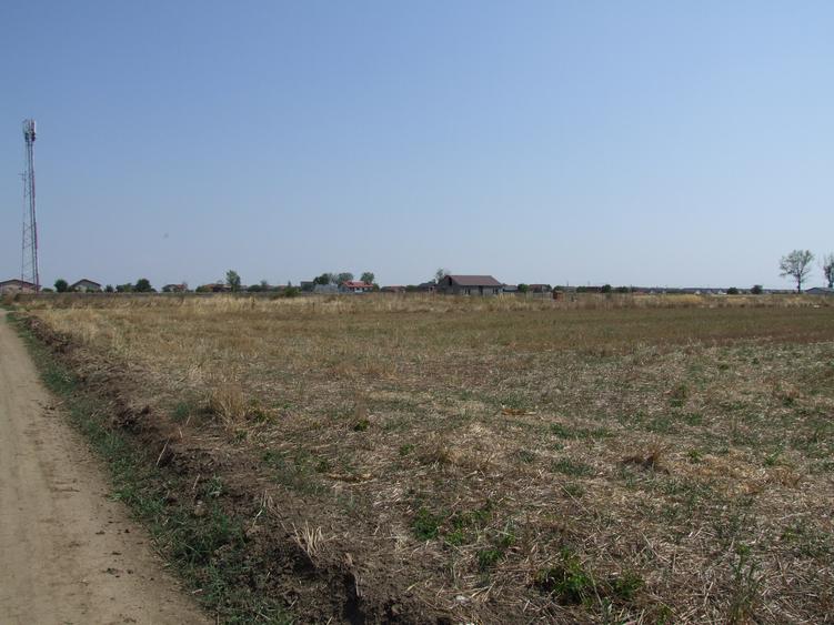 Domnesti-Teghes, teren 9.817 mp strada Pinului - 6