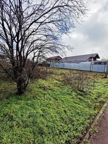 Buftea-Independentei - 3