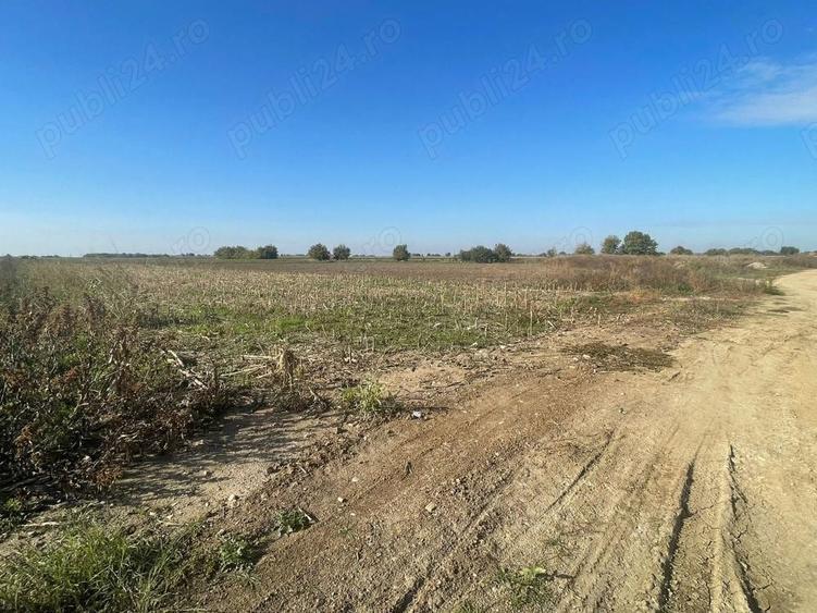 Vand teren intravilan arabil - 2