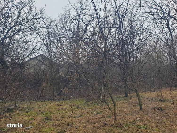 Teren intravilan IASI - COPOU - TICAU - Zona cu multa verdeata ! - 3