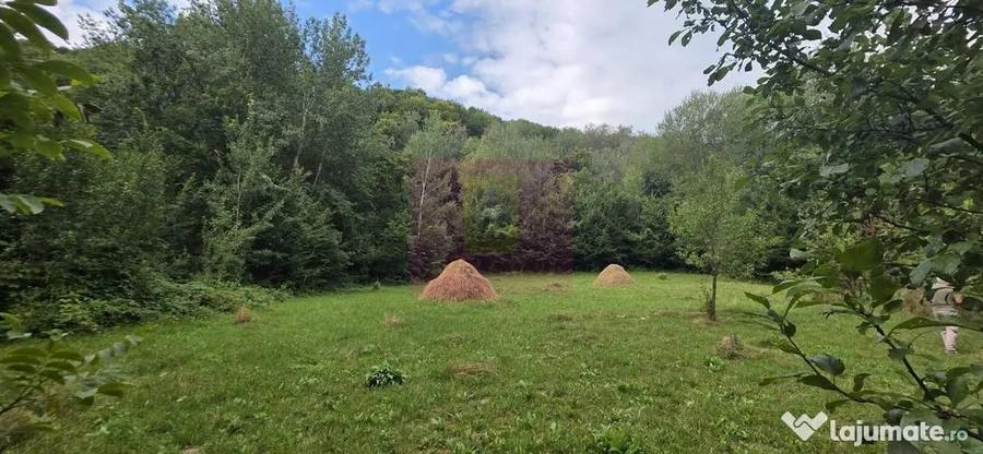 Teren în Telega