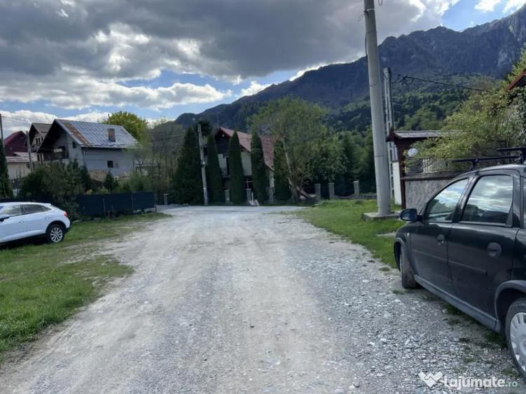 Teren 1407 mp Poiana Tapului. Vedere Bucegi .Tripla Deschide - 1