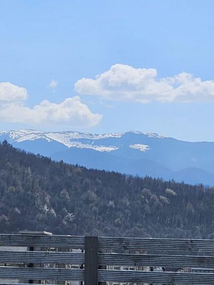 Teren 470 mp - Talmaciu - 1