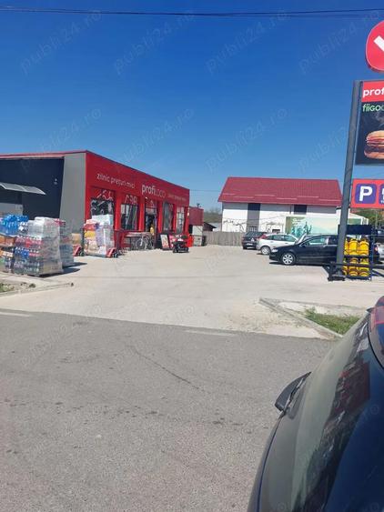 Vand casa cu anexe ?i teren 8900 mp - 4