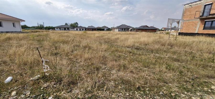 RECO Teren intravilan in Sanmartin 780mp - 3