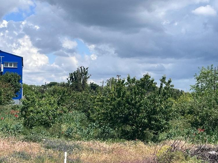 Teren intravilan liber de vanzare, imprejmuit, utilitati, la asfalt, 380kw - 7